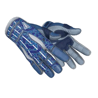 ★ Sport Gloves | Amphibious