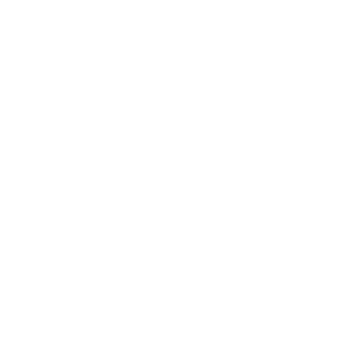 Team Spirit
