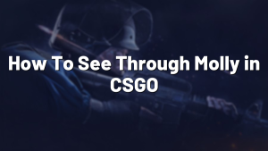 How To See Through Molly in CSGO