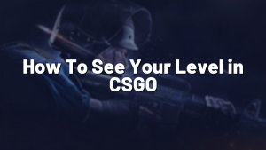 How To See Your Level in CSGO